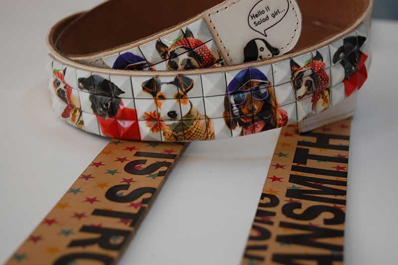 UV皮革打印機(jī)效果圖